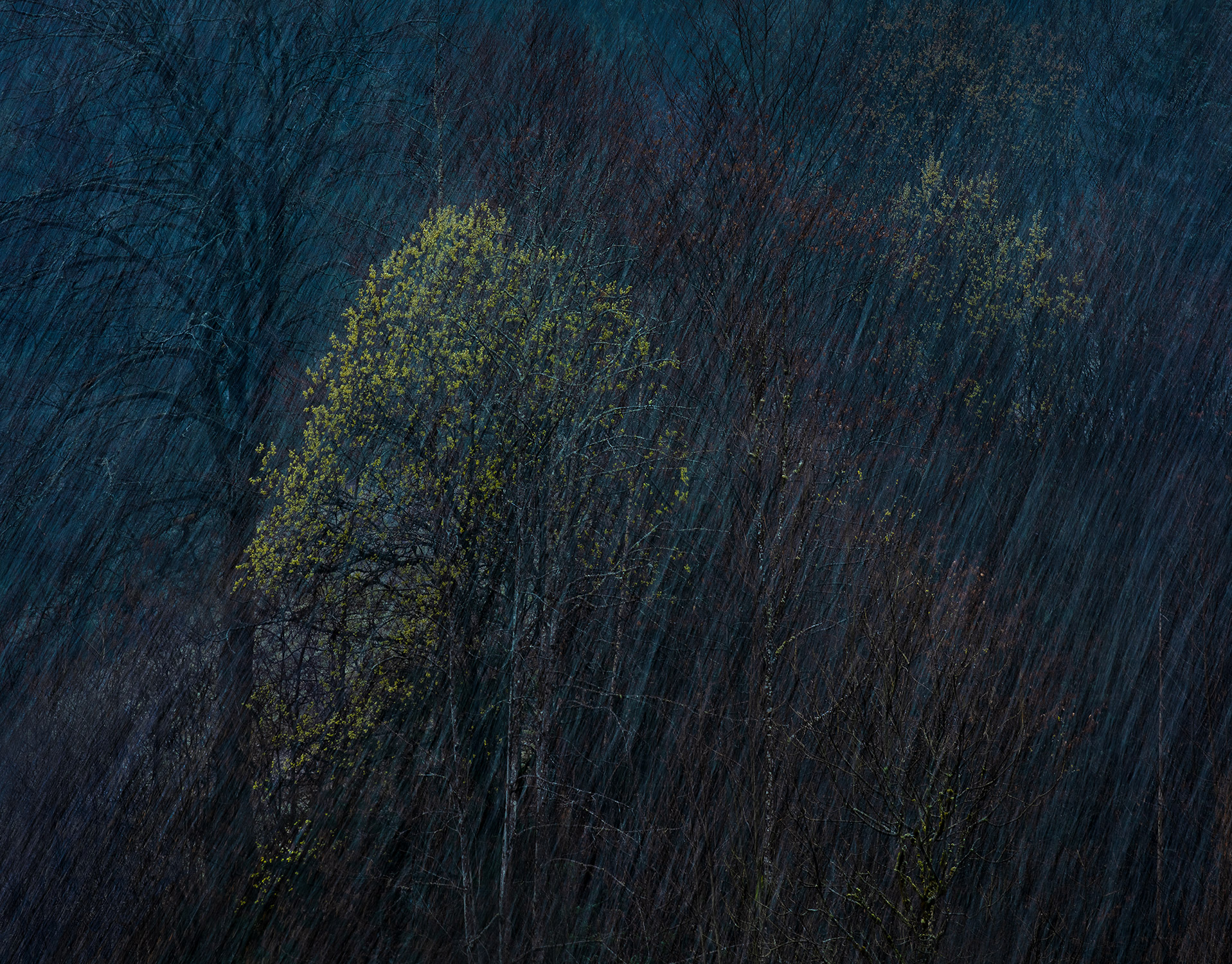 Abstract winter storm photography